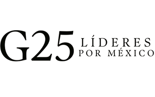 logo g25 2026